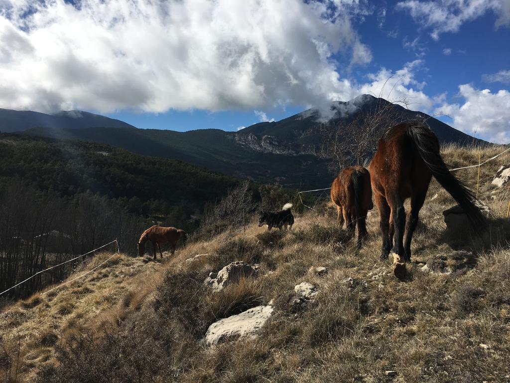 El Jou Nature Sant Corneli Exterior foto