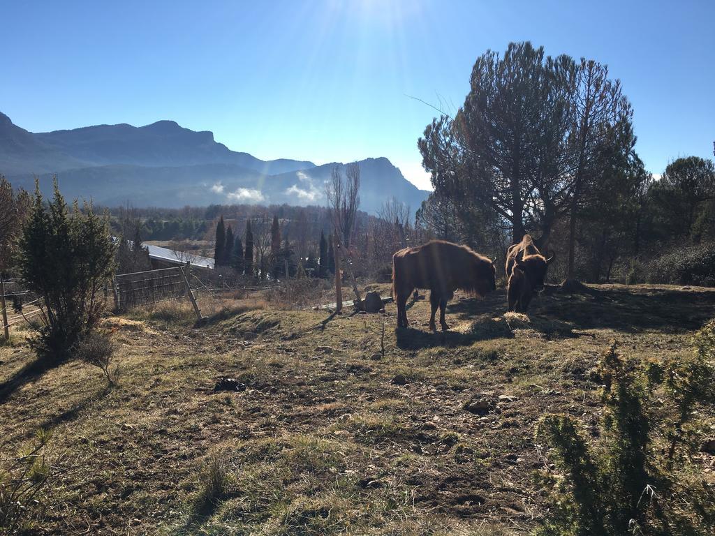 El Jou Nature Sant Corneli Exterior foto