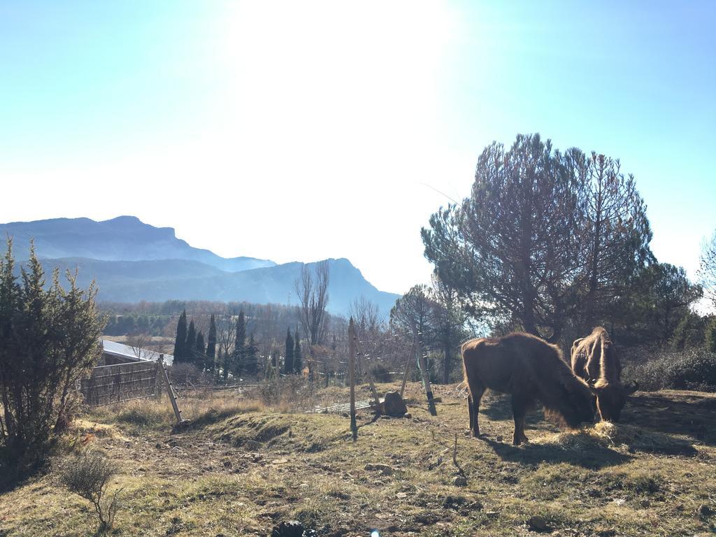 El Jou Nature Sant Corneli Exterior foto